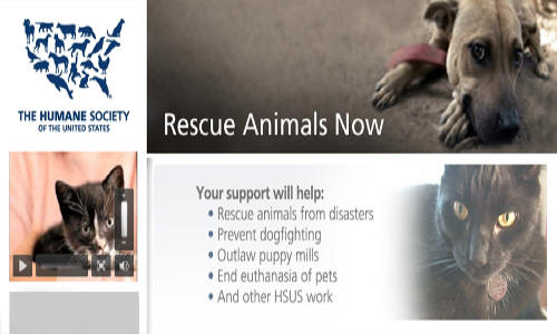 Humane_Society_img